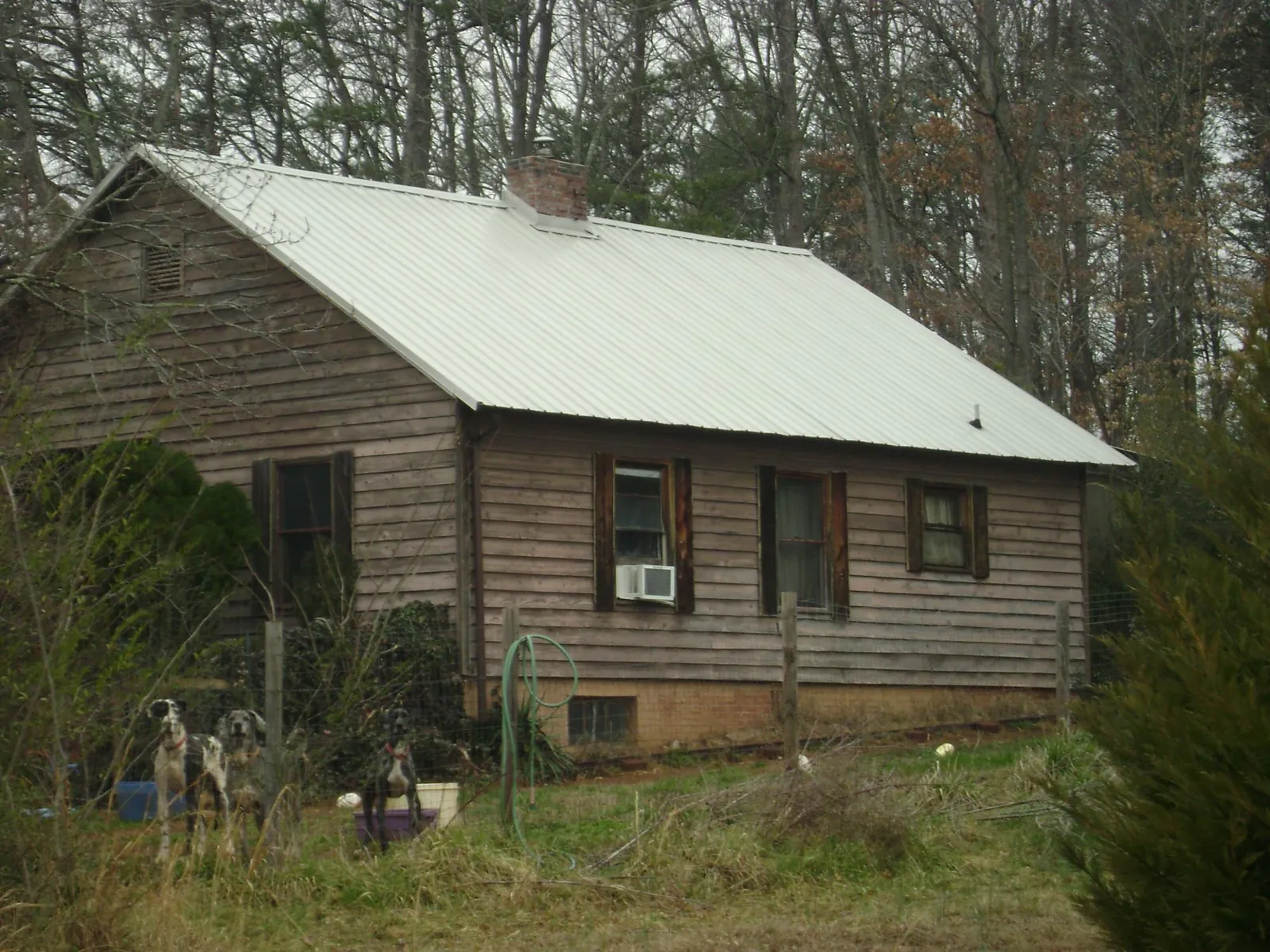 White metal roof on an old wood sided farmhouse, from a Asphalt Shingle Roof Repair job in Gratiot
